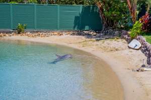 Captured at Sea World, Main Beach QLD Australia.
