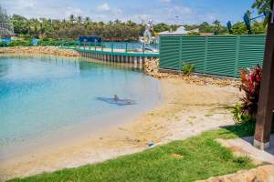 Captured at Sea World, Main Beach QLD Australia.