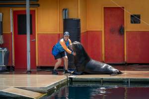 Captured at Sea World, Main Beach QLD Australia.