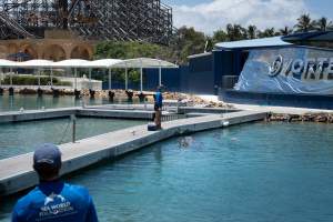 Captured at Sea World, Main Beach QLD Australia.