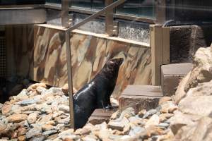 Captured at Sea World, Main Beach QLD Australia.