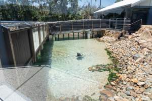 Captured at Sea World, Main Beach QLD Australia.