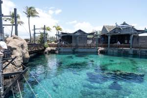 Captured at Sea World, Main Beach QLD Australia.