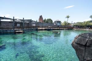 Captured at Sea World, Main Beach QLD Australia.