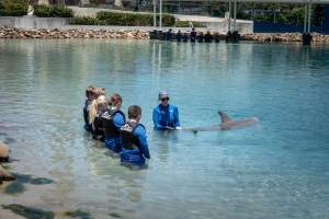 Captured at Sea World, Main Beach QLD Australia.
