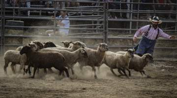 Warren County Farmers' Fair & Balloon Festival 2019 - Captured at Warren County Farmers' Fair, Phillipsburg NJ United States.