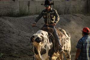 Warren County Farmers' Fair & Balloon Festival 2019 - Captured at Warren County Farmers' Fair, Phillipsburg NJ United States.