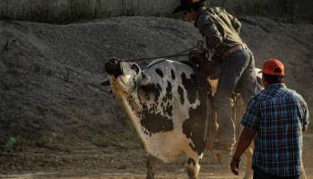 Warren County Farmers' Fair & Balloon Festival 2019 - Captured at Warren County Farmers' Fair, Phillipsburg NJ United States.