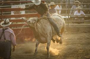 Warren County Farmers' Fair & Balloon Festival 2019 - Captured at Warren County Farmers' Fair, Phillipsburg NJ United States.