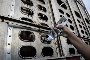 American Halal Meats August 1st 2019 - Captured at American Halal Meats, Newark NJ United States.