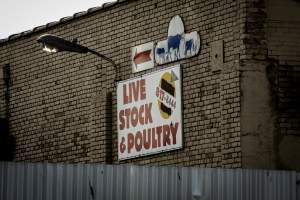 American Halal Meats August 1st 2019 - Captured at American Halal Meats, Newark NJ United States.