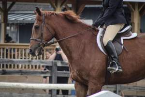 Sussex County Fair 2019 - Captured at Sussex County Fairgrounds, Frankford NJ United States.