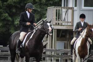 Sussex County Fair 2019 - Captured at Sussex County Fairgrounds, Frankford NJ United States.