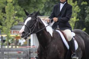 Sussex County Fair 2019 - Captured at Sussex County Fairgrounds, Frankford NJ United States.