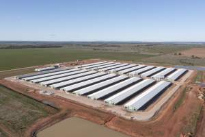 Captured at Springdale Farm, Carrathool NSW Australia.