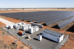 Captured at Meriki Farm, Goolgowi NSW Australia.