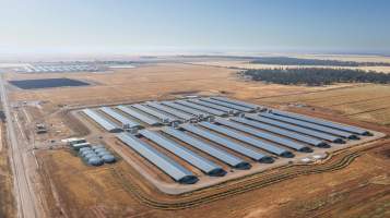 Captured at Meriki Farm, Goolgowi NSW Australia.