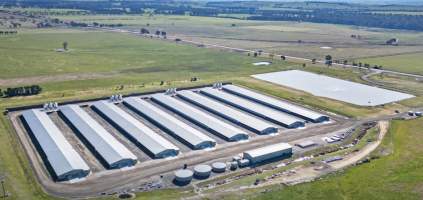 Captured at Rosedale Farm, Rosedale VIC Australia.