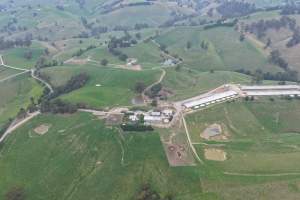 Drone Flyover - Captured at Newpark Dairy, Mountain View VIC Australia.