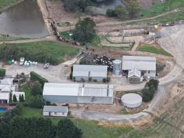 Drone Flyover - Captured at Newpark Dairy, Mountain View VIC Australia.