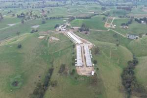 Drone Flyover - Captured at Newpark Dairy, Mountain View VIC Australia.