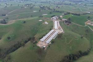 Drone Flyover - Captured at Newpark Dairy, Mountain View VIC Australia.