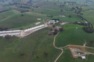 Drone Flyover - Captured at Newpark Dairy, Mountain View VIC Australia.