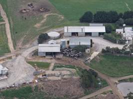Drone Flyover - Captured at Newpark Dairy, Mountain View VIC Australia.