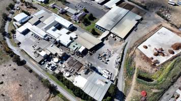 Goulburn Slaughterhouse - Captured at Southern Meats, Goulburn NSW Australia.
