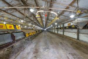 Real Estate Photos - Captured at Yahro Farm, Cooranbong NSW Australia.