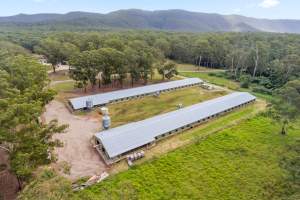 Real Estate Photos - Captured at Yahro Farm, Cooranbong NSW Australia.