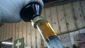 Drugs given to cows on feedlot - Captured at Opal Creek Feedlot, Dunmore QLD Australia.