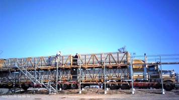Cows at feedlot transported to slaughter - Captured at Opal Creek Feedlot, Dunmore QLD Australia.