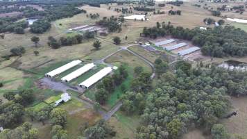 Oroolong Park Free Range Eggs - Captured at Oroolong Park, Greendale NSW Australia.