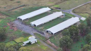 Oroolong Park Free Range Eggs - Captured at Oroolong Park, Greendale NSW Australia.