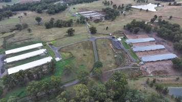 Oroolong Park Free Range Eggs - Captured at Oroolong Park, Greendale NSW Australia.