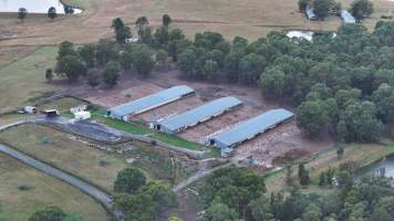 Oroolong Park Free Range Eggs - Captured at Oroolong Park, Greendale NSW Australia.