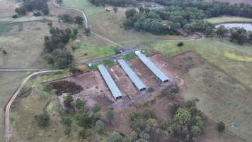 Oroolong Park Free Range Eggs - Captured at Oroolong Park, Greendale NSW Australia.