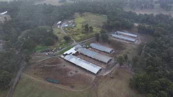 Oroolong Park Free Range Eggs - Captured at Oroolong Park, Greendale NSW Australia.