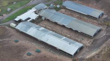 Oroolong Park Free Range Eggs - Captured at Oroolong Park, Greendale NSW Australia.
