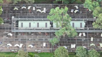 Medical Research Council - Captured at Medical Research Council, Wallacia NSW Australia.