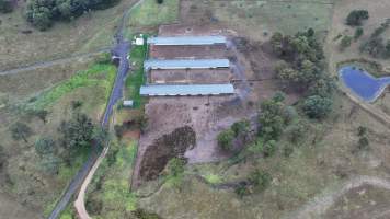 Oroolong Park Free Range Eggs - Captured at Oroolong Park, Greendale NSW Australia.