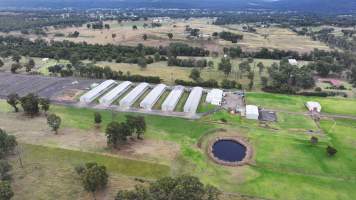 Pirovic Barn Eggs - Captured at Pirovic Barn Eggs, Wallacia NSW Australia.