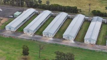 Pirovic Barn Eggs - Captured at Pirovic Barn Eggs, Wallacia NSW Australia.