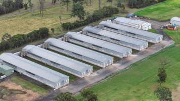 Pirovic Barn Eggs - Captured at Pirovic Barn Eggs, Wallacia NSW Australia.