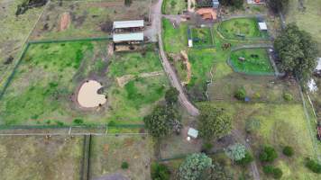 Zambi Wildlife Retreat - Captured at Zambi Wildlife Retreat, Wallacia NSW Australia.