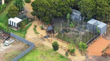 Zambi Wildlife Retreat - Captured at Zambi Wildlife Retreat, Wallacia NSW Australia.