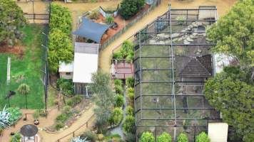 Zambi Wildlife Retreat - Captured at Zambi Wildlife Retreat, Wallacia NSW Australia.
