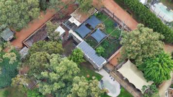 Zambi Wildlife Retreat - Captured at Zambi Wildlife Retreat, Wallacia NSW Australia.