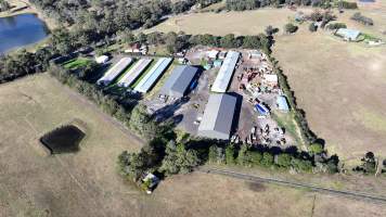 Menangle Poultery Breeder Facility - Captured at Poultry Breeding, Menangle NSW Australia.